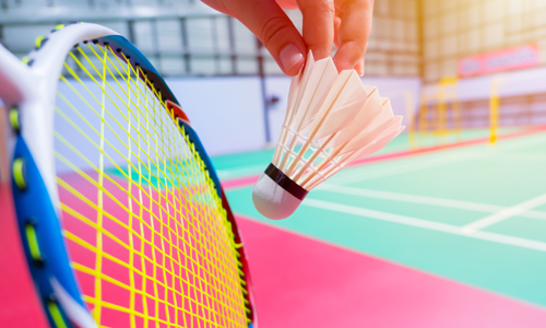 sport badminton